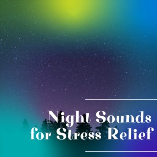 Night Sounds for Stress Relief