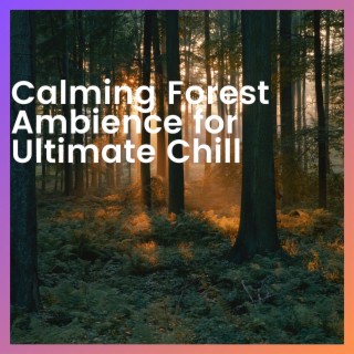 Calming Forest Ambience for Ultimate Chill