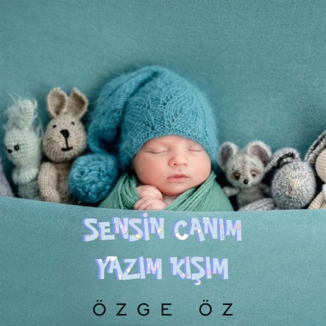 Sensin Canım Yazım Kışım | Boomplay Music