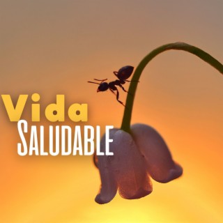 Vida Saludable: Increibles Sonidos Naturales para la Paz Interior y el Refuerzo del Sistema Inmunológico