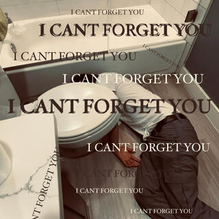 I CANT FORGET YOU