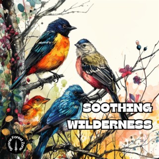 Soothing Wilderness Tunes for Yoga Practice