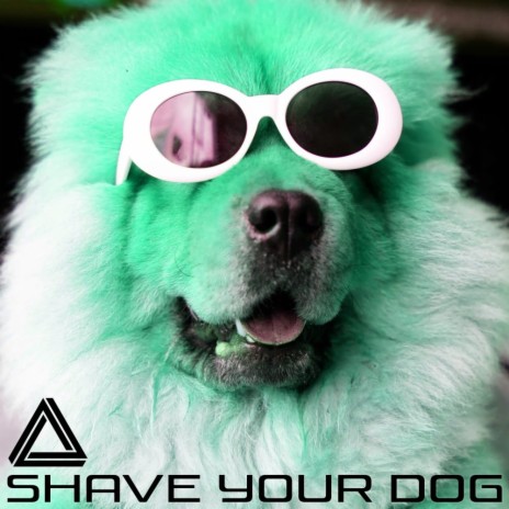 Shave Your Dog | Boomplay Music