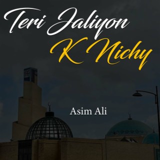 Teri Jaliyon K Nichy