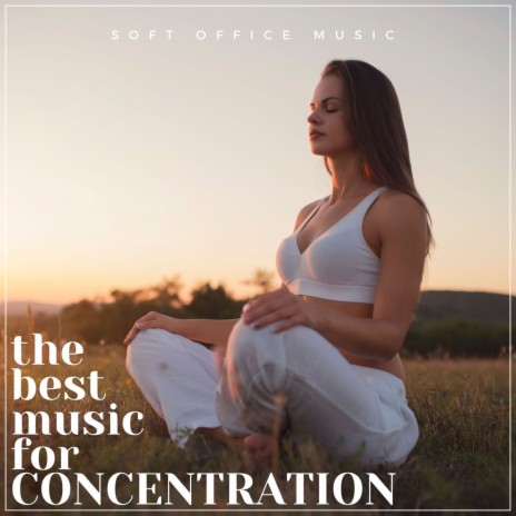 Full Concentration | Boomplay Music