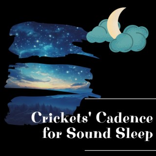 Crickets' Cadence for Sound Sleep