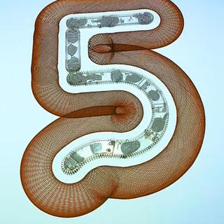 B5