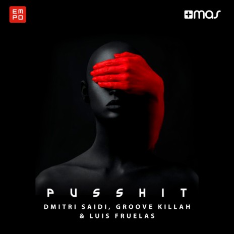 Pusshit ft. Groove Killah & Luis Fruelas | Boomplay Music