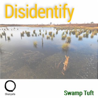 Swamp Tuft