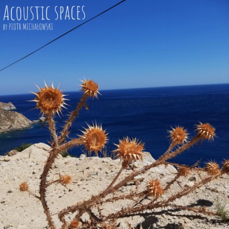 Spiky dried thistle | Boomplay Music