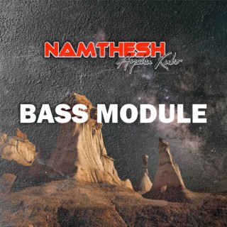 Bass Module