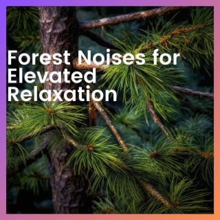 Forest Noises for Elevated Relaxation