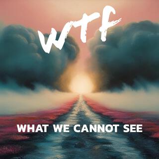 What We Cannot See