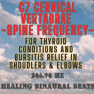 C7 Cervical Vertabrae Spine Frequency: 246.94 Hz