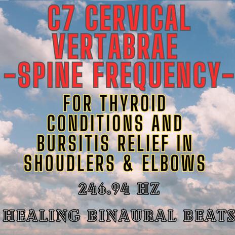 C7 Cervical Vertabrae Spine Frequency: 246.94 Hz | Boomplay Music