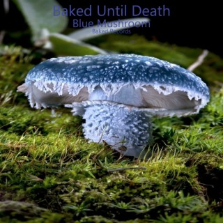 Blue Mushroom