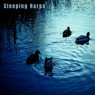 Sleeping Harps