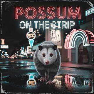 Possum On The Strip