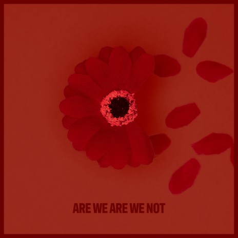 Are We Are We Not | Boomplay Music