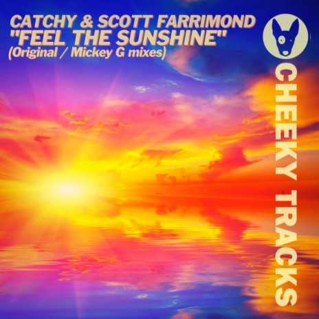 Feel The Sunshine (MickeyG Radio Edit) ft. Scott Farrimond | Boomplay Music