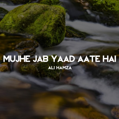 Mujhe Jab Yaad Aate Hai
