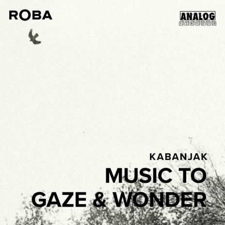 Gaze & Wonder | Boomplay Music