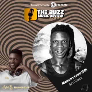 Seyi Vibez - Memory Card EP (The Buzz Music Review)
