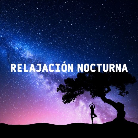 Realajación Nocturna | Boomplay Music
