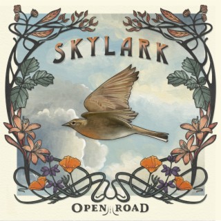 Skylark