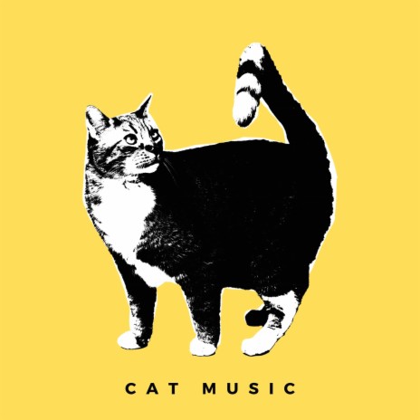 Calm Down Cat Music