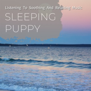 Listening to Soothing and Relaxing Music