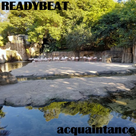 acquaintance | Boomplay Music