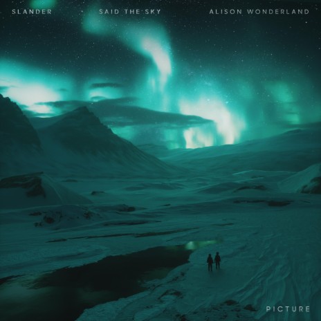 Picture ft. Alison Wonderland & Said The Sky | Boomplay Music