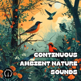 Continuous Ambient Nature Sounds