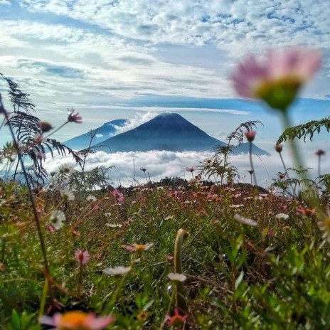 GOYANG ULAR SAWAH X ULAR KADUT     | Boomplay Music