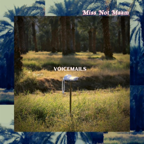 Voicemails | Boomplay Music