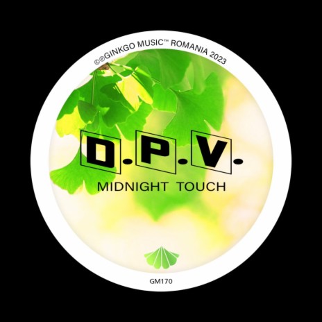 Midnight Touch | Boomplay Music