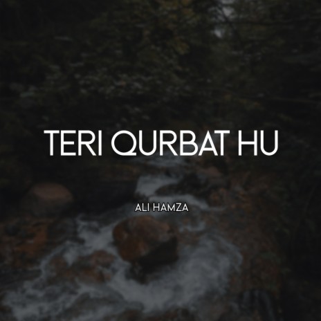 Teri Qurbat Hu | Boomplay Music