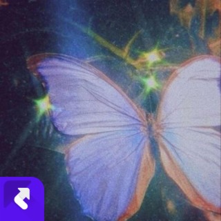 Download Statz Raven album songs: 雲街 | Boomplay Music