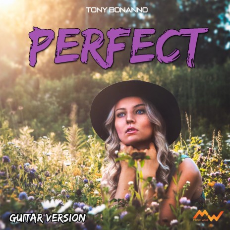 Perfect (Guitar Version) | Boomplay Music