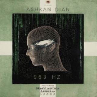 Ashkan Dian