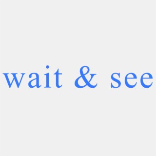 Wait & See