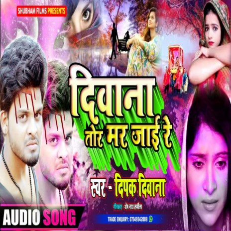 Diwaana Tor Mar Jai Re | Boomplay Music