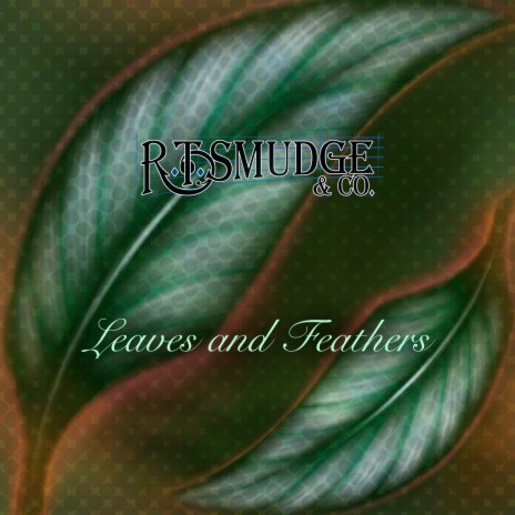 Leaves and Feathers | Boomplay Music