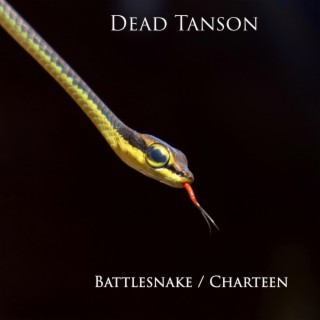 Battlesnake Charteen