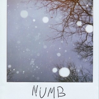 Numb