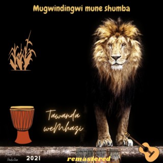 Mugwindingwi Mune Shumba