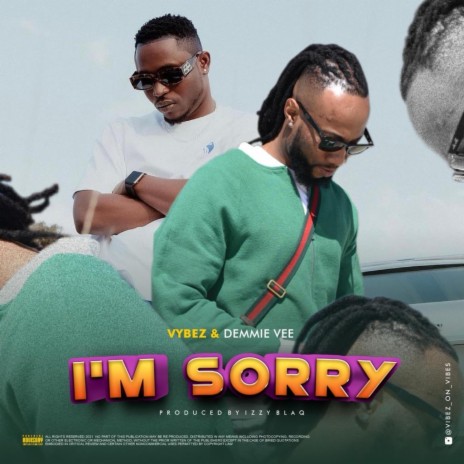 I'm Sorry ft. Demmie Vee | Boomplay Music