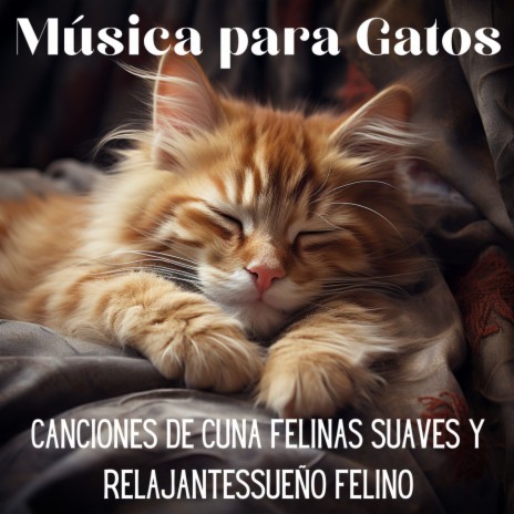 Refugio Anti Estrés Celeste ft. Cat Music Dreams & Cat Music Zone | Boomplay Music