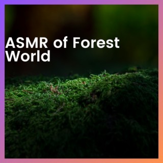 ASMR of Forest World